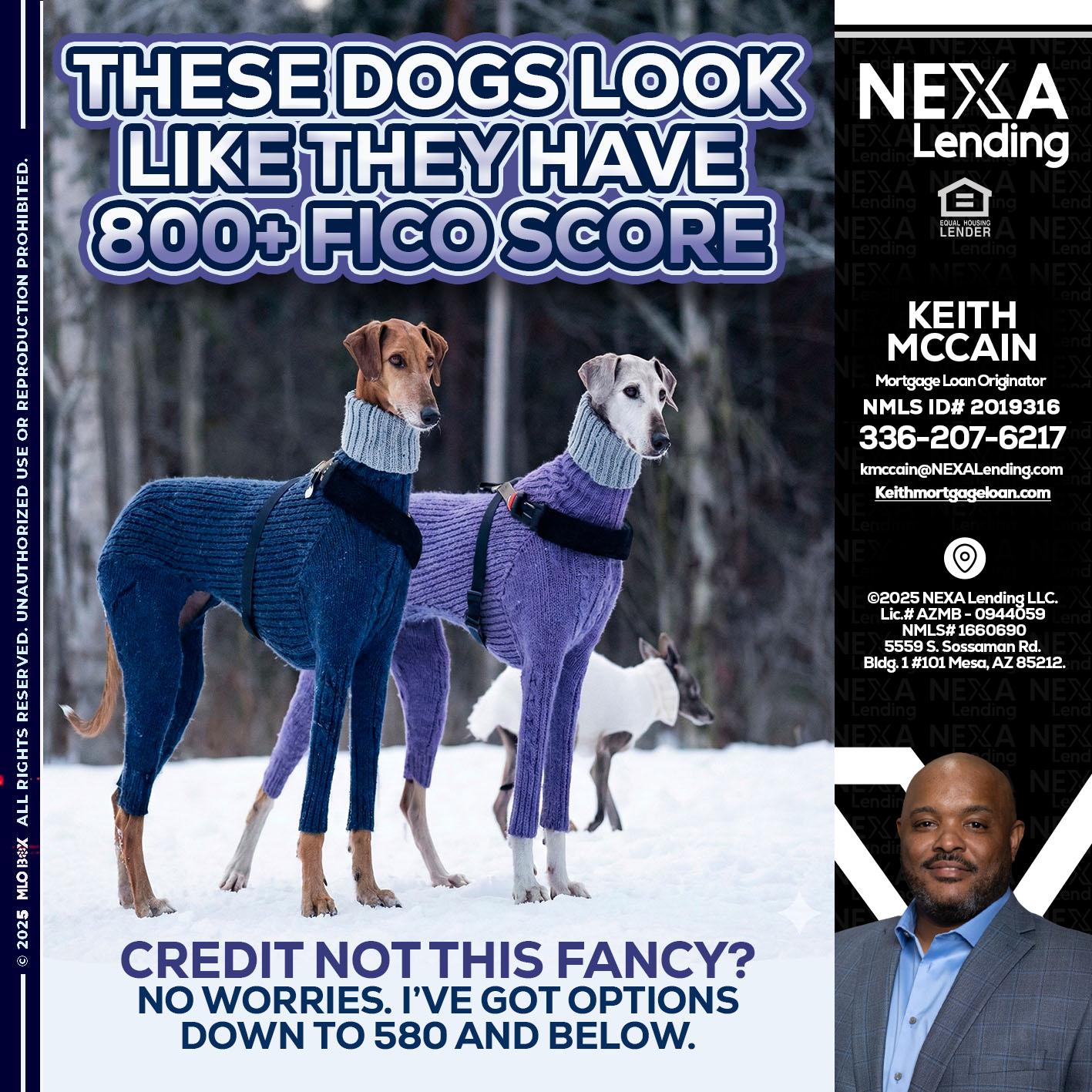 THESE DOGS LOOK - Keith Mccain -Mortgage Loan Originator